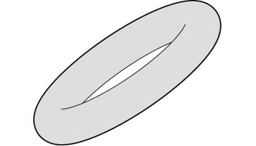 5641005-16 (1)
