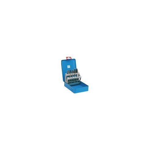 Sada technických fréz HSS PFERD 440590 81/10 (RG4470)