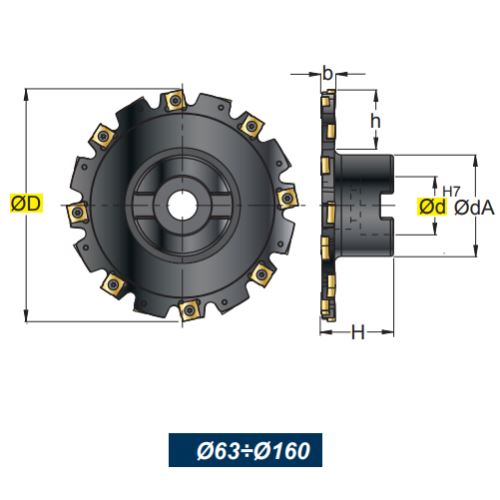 S955M-125-07/08